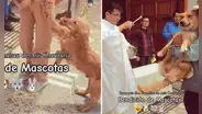 Perrito se resiste a ser rociado con agua bendita en ceremonia masiva de mascotas y redes estallan: "No quiero, mamá"