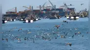 Gobierno invertirá S/752 millones en modernización del puerto de Ilo