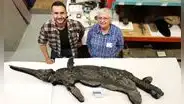 Reino Unido: Identifican al "dragón espada", una nueva especie de reptil marino prehistórico