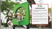 Vecinos de San Isidro denuncian muerte de al menos 5 perros por envenenamiento en parques y vías principales