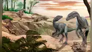 Científicos descubren en Sudamérica a uno de los dinosaurios más antiguos del mundo que vivió hace 230 millones de años