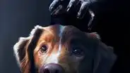 Estreno de 'Good Boy' en Perú hoy: ¿dónde ver en español latino la película de terror protagonizada por un perro?