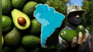Este país de América Latina es el mayor productor de paltas en el mundo en 2025: Perú, Chile y Colombia buscan superarlo