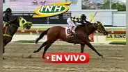 Resultados 5y6 La Rinconada EN VIVO HOY, domingo 2 de noviembre 2025: ganadores de todas las carreras, orden de llegada y premios del INH
