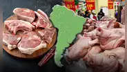 El país de América Latina que produce más carne de cerdo con EE.UU. y China: supera a México y Perú en top 5 del mundo