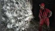 Científicos descubren la telaraña más grande del mundo donde prosperan más de 111.000 arañas en una cueva completamente oscura