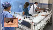 EsSalud alerta por síntomas graves del dengue: dolor abdominal y vómitos persistentes podrían indicar fase mortal