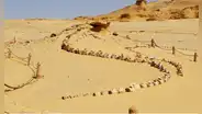 Uno de los lugares más misteriosos del planeta: descubrieron ballenas en el desierto
