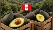 ¿Cuál es la fruta peruana más preferida en el mundo? Ventas superan los US$1.400 millones en 2025