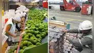 Exportaciones peruanas sumaron US$8.269 millones en septiembre: ¿qué sectores lideraron el crecimiento?