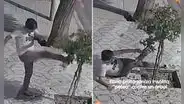 Captan insólita 'pelea' de hombre con árbol en la vía pública y escena es furor en redes: "Encima perdió"