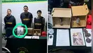 Cae presunto líder de facción del Tren de Aragua en Perú: alias 'Mamadeo' era uno de los más buscados en Colombia