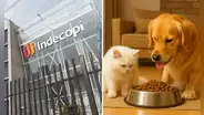Indecopi sanciona a Nestlé Perú con más de S/600 mil por etiquetar productos para mascotas con información engañosa