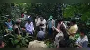 Más de 1 millón de hectáreas de bosque evitaron ser deforestadas gracias a certificación