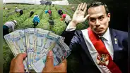 Gobierno plantea un nuevo regalo para agroexportadoras que costaría S/2.000 millones al año y alentará la concentración de tierras