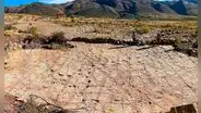 Paleontólogos descubren 18.000 huellas de dinosaurios y rastros de que nadaban en una antigua costa de Bolivia