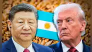 China reta a EE.UU. con 65.000 toneladas de trigo argentino que compró por primera vez en décadas mientras Milei baja aranceles