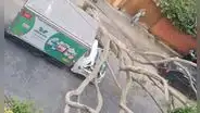 Árbol de gran tamaño aplasta cabina de camión y deja herido a chófer y copiloto en Miraflores
