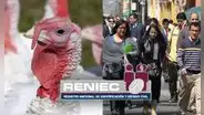 Pavo, Guirnalda, Duende y Brindis: Reniec publica lista de nombres de peruanos inspirados en la Navidad