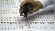 Calendario electoral 2026 en América Latina y Europa: fechas clave de un año decisivo