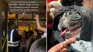 Joven aborda bus del Metropolitano con su perro e inspectora hace bajar a todos los pasajeros: "Era el último bus en plena Navidad"