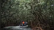 Panamá niega presencia constante del Clan del Golfo en la frontera, pero reporta "presión" de grupos colombianos