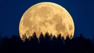 Guía de la Luna 2026: cuándo se verán las 13 Lunas llenas que brillarán en el cielo durante todo el año