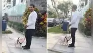 Joven causa sensación al pasear su chanchito en San Isidro y desata reacciones: "Se salvó de la cena navideña"