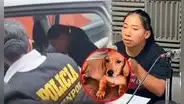 Joven rescata a un perro abandonado en Moquegua y termina detenida por la policía tras ser acusada de robo
