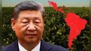 China supera a EE. UU. y realiza su primera compra histórica de 30.000 toneladas de harina de soja a un país de América Latina