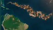 ¿Qué es la franja marrón que apareció entre América y África y por qué sería una amenaza en el océano Atlántico?