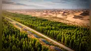 China extrae arena del desierto para crear un 'bosque' con paja y paneles solares que rieguen árboles: nueva muralla estaría lista en 2050