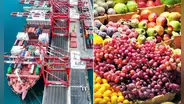 Perú conquista el mercado internacional tras exportar 540 productos agrícolas a Estados Unidos y Europa
