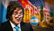 Argentina logra récord histórico y se convierte en principal proveedor de aceites vegetales de una potencia del mundo: no es China ni EE.UU.