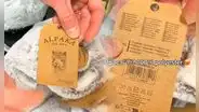 Hombre encuentra pantuflas "de alpaca" en supermercado de Finlandia y se sorprende al leer la etiqueta: “100% poliéster”