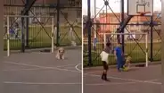 El sorprendente arquero de cuatro patas que deslumbró en un partido de fútbol entre amigos en Argentina