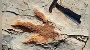 La inteligencia artificial entra en la paleontología y ayuda a resolver uno de los grandes misterios sobre los dinosaurios