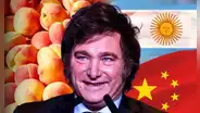 Argentina no frena su ambición con China y lo apunta como próximo destino para exportar este producto clave en Asia