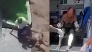 Hombre queda gravemente herido tras ser atacado por dos perros en Pachacámac cuando volvía a su casa