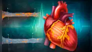 Científicos de EE.UU. desarrollan una inmunoterapia que podría limpiar arterias en pacientes con enfermedades cardiacas por colesterol