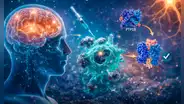 Científicos de EE.UU. descubren un nuevo método clave para retrasar la pérdida de memoria en pacientes con Alzheimer