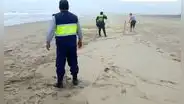 Niña desaparecida es hallada muerta en playa Bellavista de Supe: habría sido agredida sexualmente