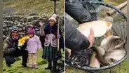 Familia peruana vive SOLA a más de 4.000 m.s.n.m. y creó su propio paraíso productivo de truchas en los Andes: "Es un trabajo fuerte"