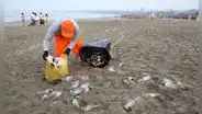 Defensoría rechaza cierre temporal de playa Agua Dulce: “Son bienes de dominio público”