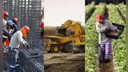 Economía peruana creció solo 3,4% en 2025 pese a los altos precios de los minerales: ¿cómo le fue a cada sector?