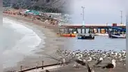 Playa Agua Dulce amanece limpia y con aves, pero Chorrillos evaluará su nuevo cierre si persiste la basura