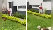 Mujer lanza agua con lejía a joven que paseaba a sus perros en parque de La Molina: “No le gusta que los animales pasen frente a su casa”