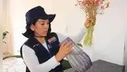 Minsa presenta Plan de Prevención y Control del Dengue 2026 ante alerta epidemiológica: ¿Cómo evitar el dengue?