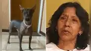 Tras la muerte de su hija embarazada en Egipto, madre peruana busca traer de vuelta a su mascota: "Es parte de nuestra vida"