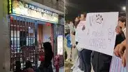 Investigan a dueña de pollería por muerte de perrita callejera en Ayacucho: habría sido atacada con arma blanca tras buscar alimentos
